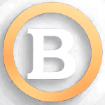 Bies LLC Logo